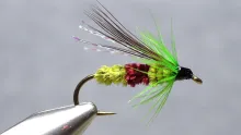 Video thumb for Margaree Bug