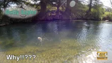 Video thumb for You win some, you Loose some!