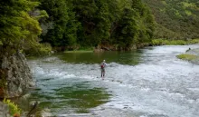 User submitted picture: In the wilds of Southland...