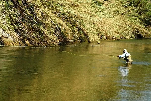 User submitted picture: Joe Humphreys swinging a ...